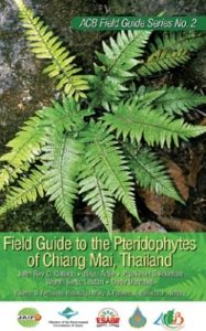 Field Guide to the Pteridophytes of Chiang Mai, Thailand