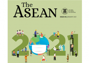 The Cascading Disaster of COVID-19 Renewed Calls for a More Robust Regional Coordination System