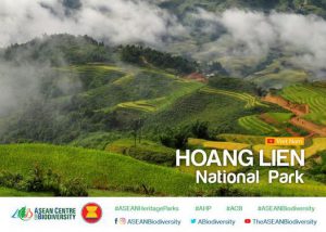 Hoang Lien National Park, Viet Nam