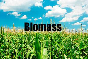 Promotion of Biomass Energy for Agricultural Communities and Rural Development in ASEAN Region