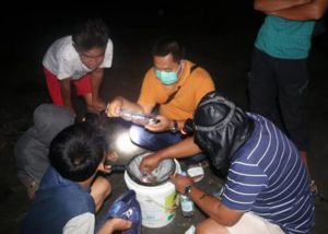 Another Update of Eel Catch Sampling Survey in Poso, Central Sulawesi through JAIF Phase II Project