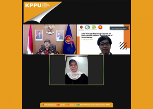 Understanding Unilateral Conduct and Dominant Position of Various Countries