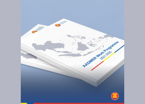 AADMER Work Programme 2021-2025