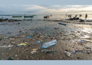 Strengthening Capacity for Marine Debris Reduction and Waste Management in ASEAN Region through Knowledge Sharing on Marine Litter