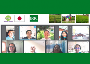 JAIF and IRRI Collaborate on Capacity Building for ASEAN Rice Net in 4 SEA Countries