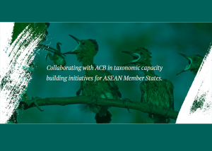 JAIF Collaborating with ACB in Taxonomic Capacity Building Initiatives for ASEAN Member States