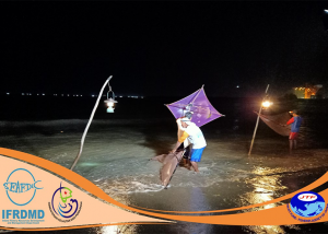 IFRDMD Staffs Join the Baseline Survey in Manado, North Sulawesi and Pelabuhan Ratu, West Java