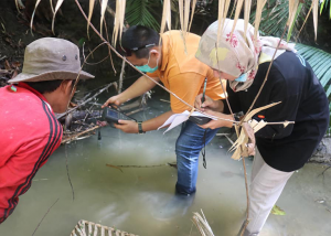 Eel Catch Sampling Survey in Poso, Central Sulawesi through JAIF Phase II Project