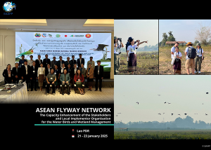 Workshop in Lao PDR to Learn and Share Insights on Waterbird Monitoring Techniques