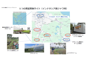 Daiwa Participates in Japan-ASEAN Agricultural ICT Pilot Project