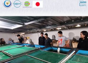 SEAFDEC Observes Local Innovation in Tropical Anguillid Eel Cultivation in Cimahi, Indonesia